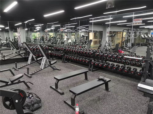 運(yùn)動(dòng)健身器材健身器材熱線電話