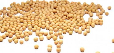 燕麥堅果酸奶等14種超級食物 日常養生保健，助您少得病、更長壽